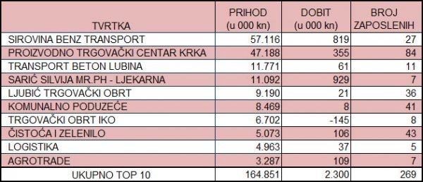 Top 10 kninskih poduzetnika