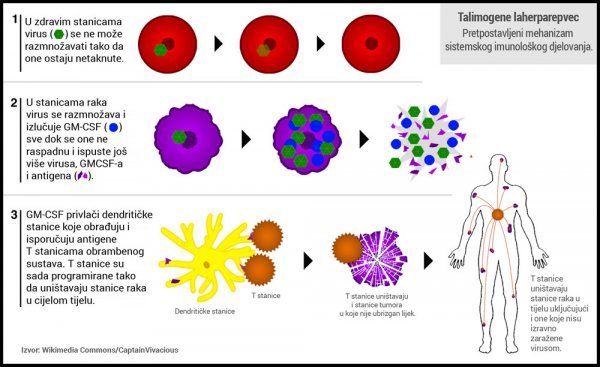 Viroterapija Wikipedia